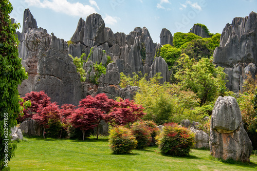 Natural wonder of china's stone forest photo