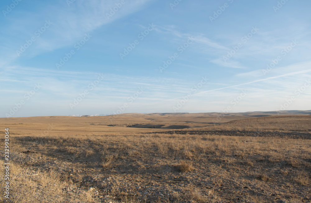 wide yellow valley for background for design wide yellow valley for background for design