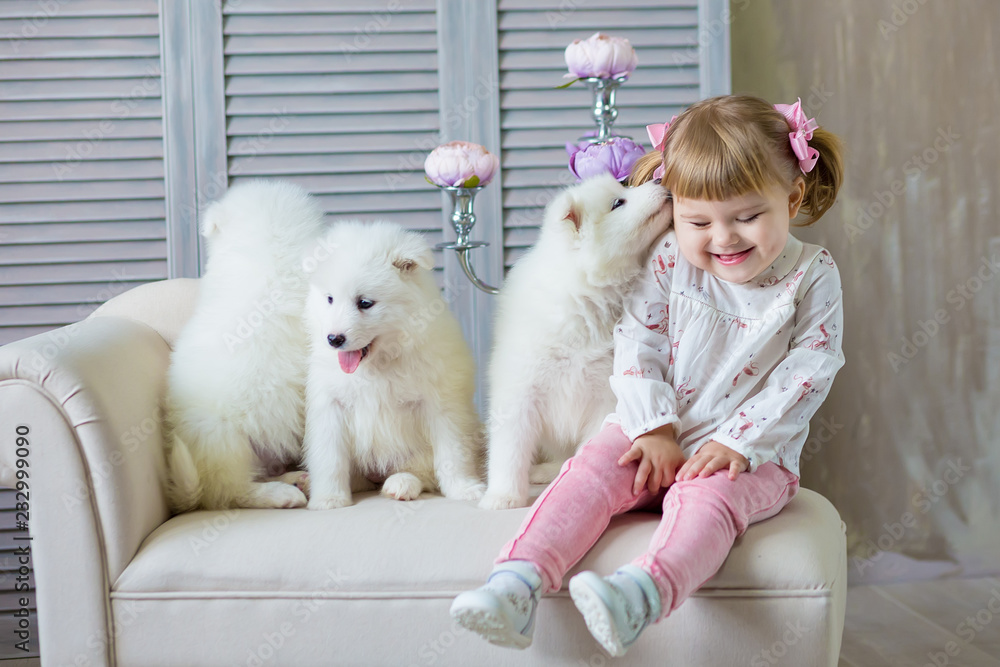 Girl with a samed dog puppy enjoy time together posing in studio shoot wearing tender color dress Girl with a samed dog puppy enjoy time together posing in studio shoot wearing tender color dress
