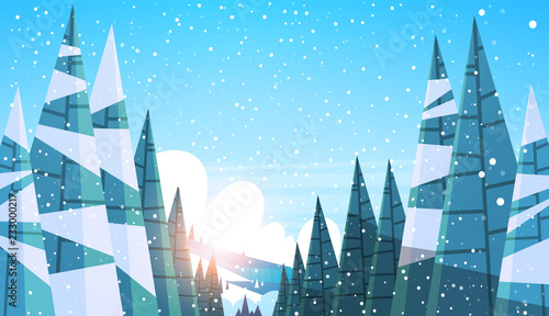 Winter snowy forest pine fir tree woods