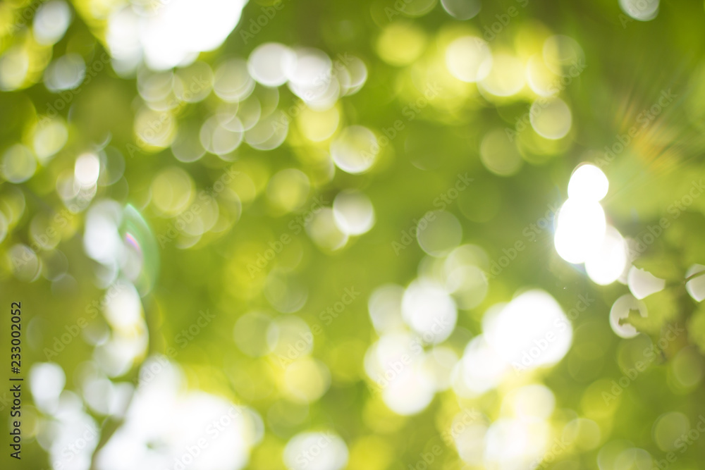 Green gradient blurred abstract background Green gradient blurred abstract background
