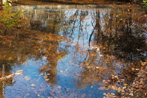 reflections in water