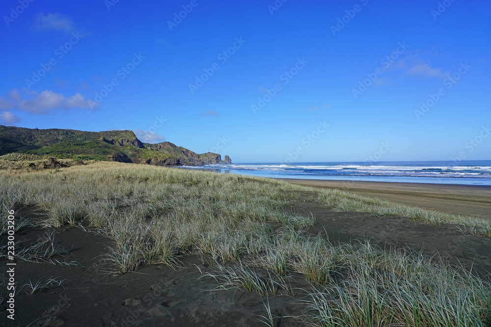 View of the black sand Te Henga (Bethells Beach) near Auckland in the North Island, New Zealand