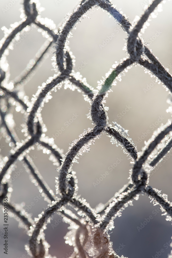 Frozen fence made of metal mesh covered with frost crystals, an early sunny cold morning, on a blurred background. Close-up.