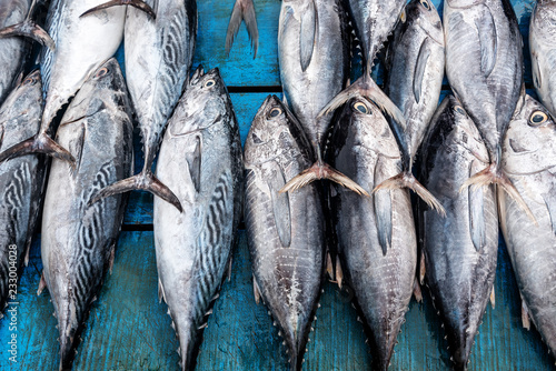 Bilde på lerret fresh tuna in the market