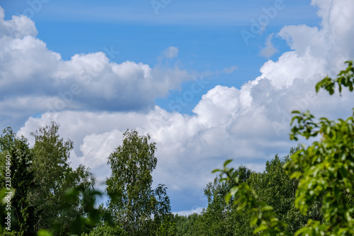 Fototapeta Naklejka Na Ścianę i Meble -  contrast rain storm clouds over green meadow and some trees in summer