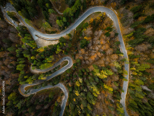 Curvy road trough atumn forest aerial top down view