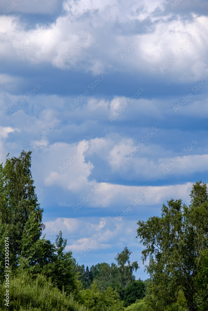 contrast rain storm clouds over green meadow and some trees in summer contrast rain storm clouds over green meadow and some trees in summer