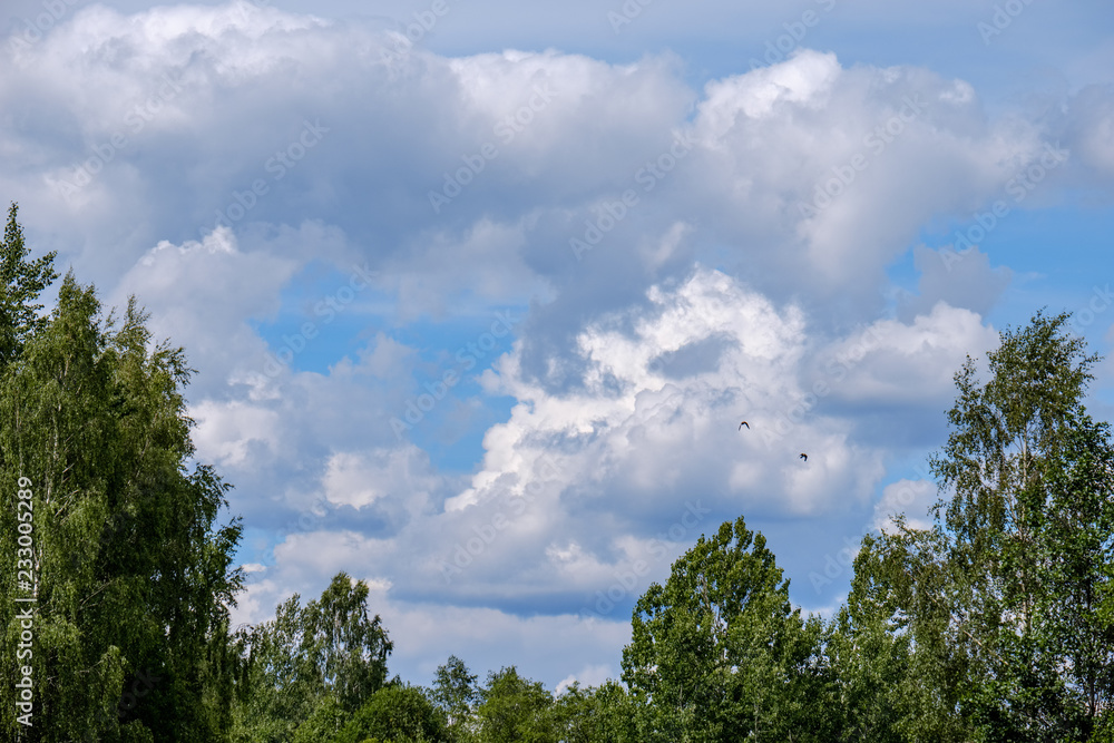 contrast rain storm clouds over green meadow and some trees in summer