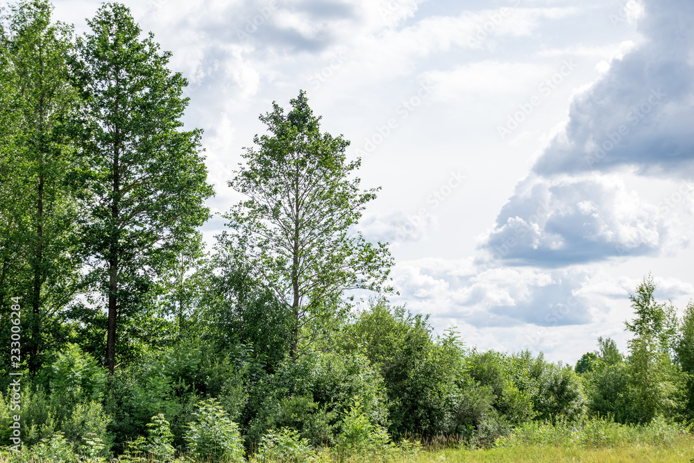 Fototapeta premium contrast rain storm clouds over green meadow and some trees in summer