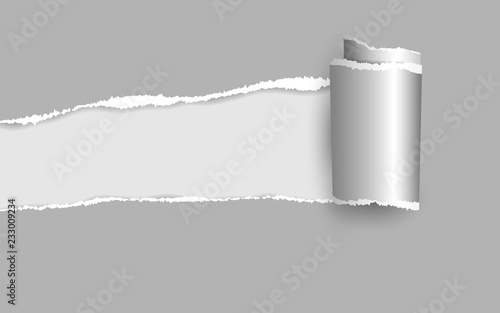 Ripped paper. Vector of ripped paper. the paper was ripped background.