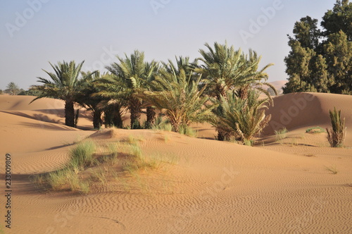 Sahara desert at Merzouga