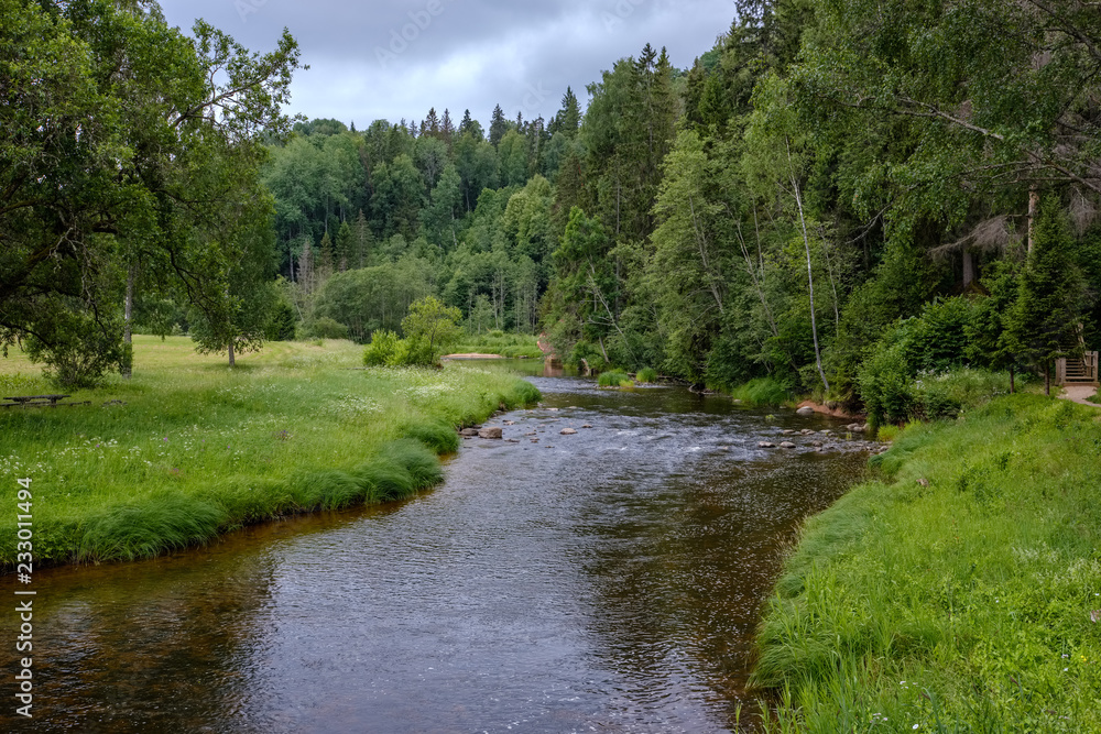 rocky stream of river deep in forest in summer green weather with sandstone cliffs rocky stream of river deep in forest in summer green weather with sandstone cliffs