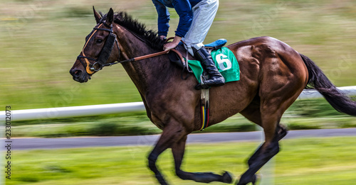 Race horse and jockey speeding motion blur action