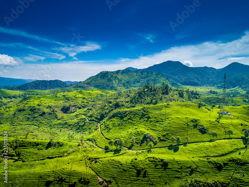 Aerial View of Green Lush Walini Tea Plantation, Rancabali, Ciwidey, Bandung, West Java, Indonesia photo