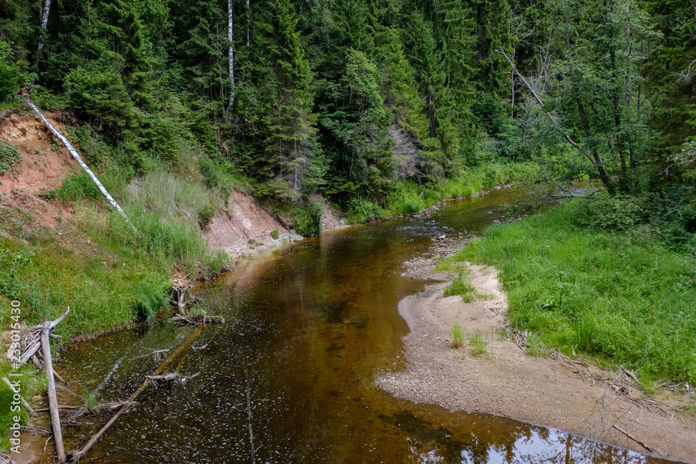 rocky stream of river deep in forest in summer green weather with sandstone cliffs rocky stream of river deep in forest in summer green weather with sandstone cliffs