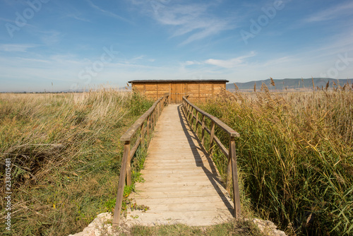 The bird lookout in the boards of daimiel  Ciudad real