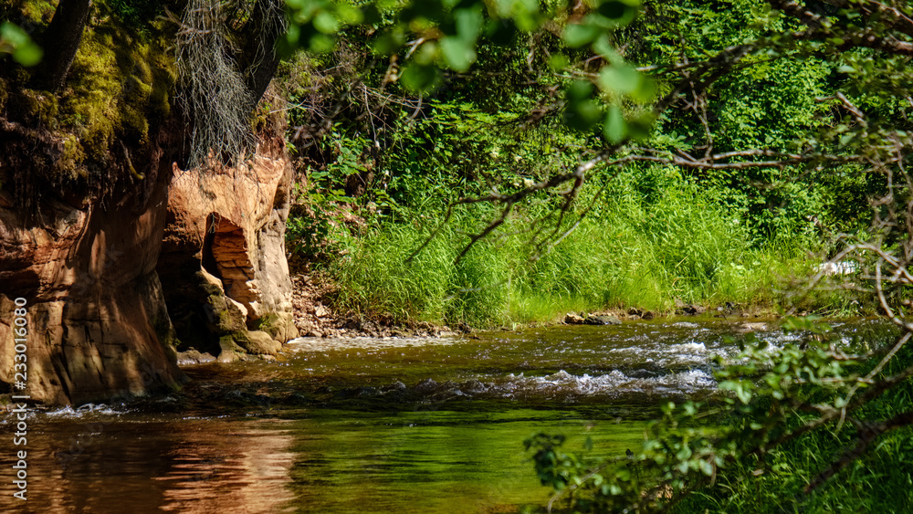 Fototapeta premium rocky stream of river deep in forest in summer green weather with sandstone cliffs