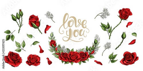 Red roses hand drawn illustration elements colored set