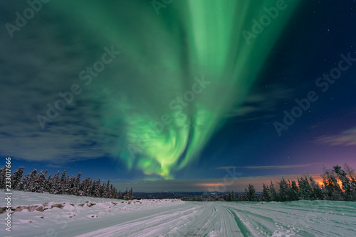 Borealis 050
