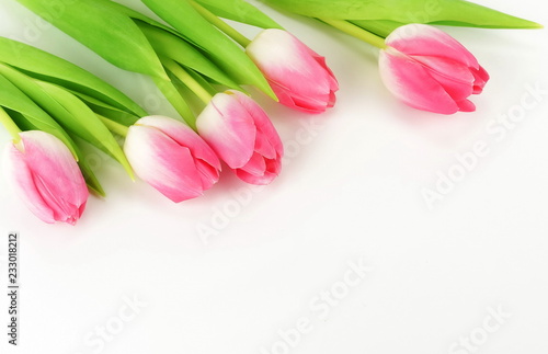 Flowers composition background. bouquet of pink tulips on a white background. top view. copy space. Holiday concept.