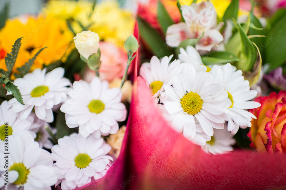Obraz premium Floral
