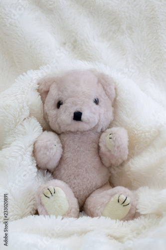 Teddy bear with live and gift