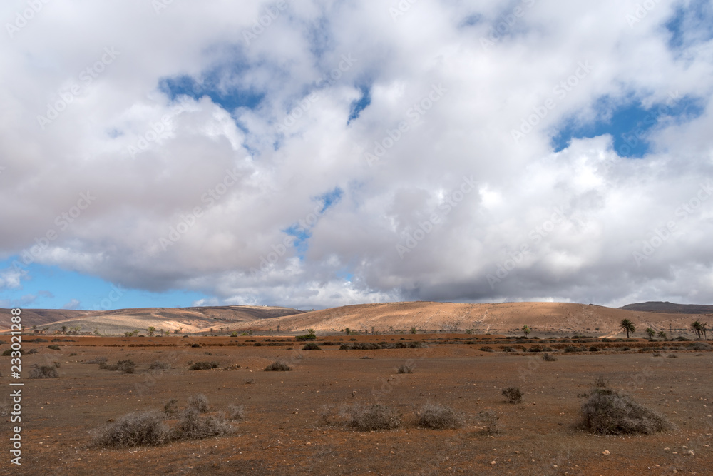 Arid landscape, Lanzarote, Canary, Spain Arid landscape, Lanzarote, Canary, Spain