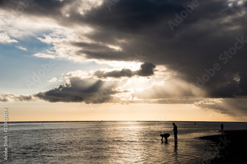 Silhouette on the beach with sunset background - Mauritius