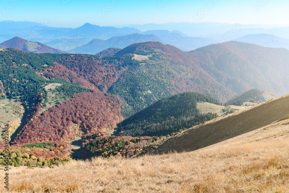 Obraz premium View the meadows in The Vratna valley at the national park Mala Fatra in sunny day