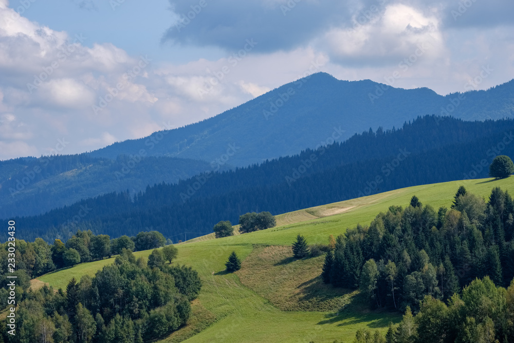 western carpathian Tatra mountain skyline with green fields and forests in foreground