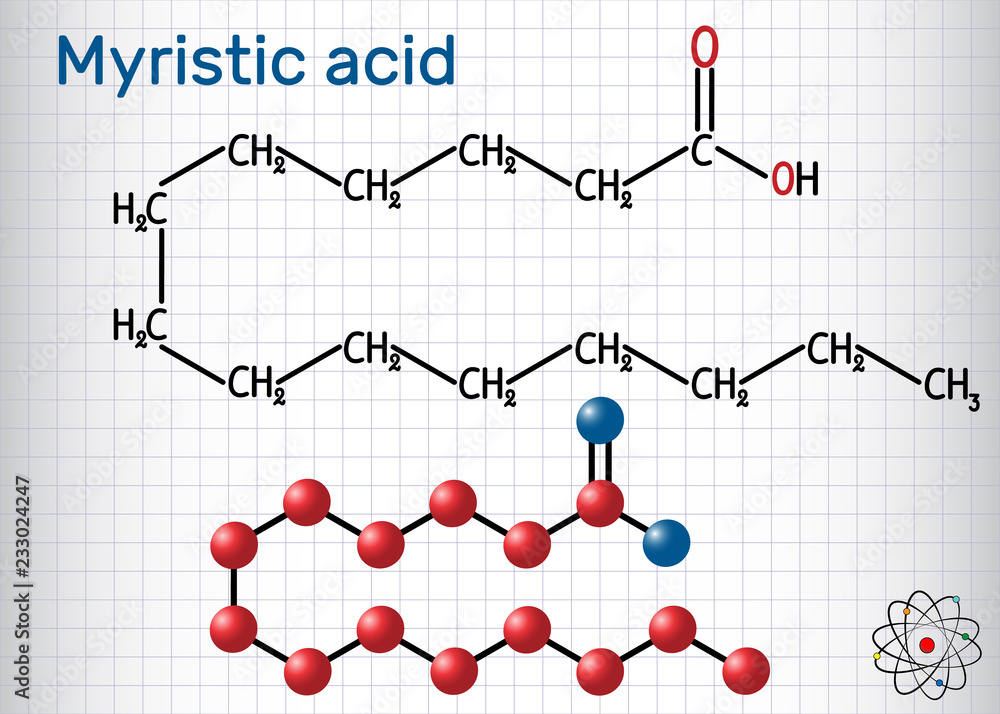 Myristic (tetradecanoic) acid molecule. It is saturated fatty acid.  Structural chemical formula and molecule model. Sheet of paper in a cage  Stock Vector | Adobe Stock