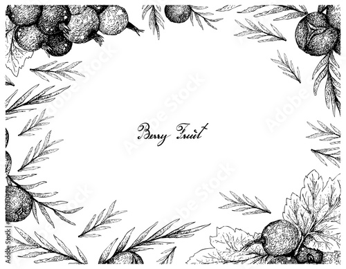 Berry Fruit, Illustration Frame of Hand Drawn Sketch of Jostaberries and Juniper Berries Isolated on White Background. 