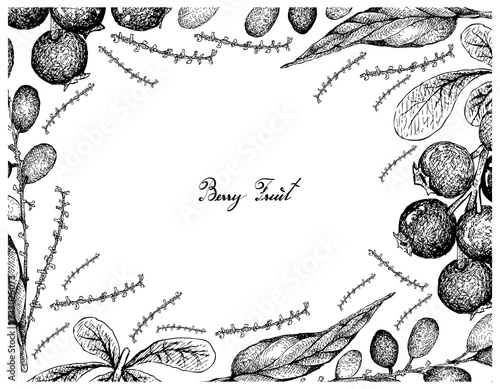 Berry Fruits, Illustration Frame of Hand Drawn Sketch Jostaberries and Lepisanthes Rubiginosa Fruits Isolated on White Background. 
 photo