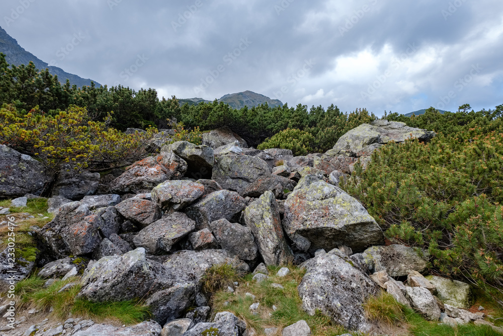 rocky hiking trails for tourists in western carpathian Tatra mountains in slovakia rocky hiking trails for tourists in western carpathian Tatra mountains in slovakia