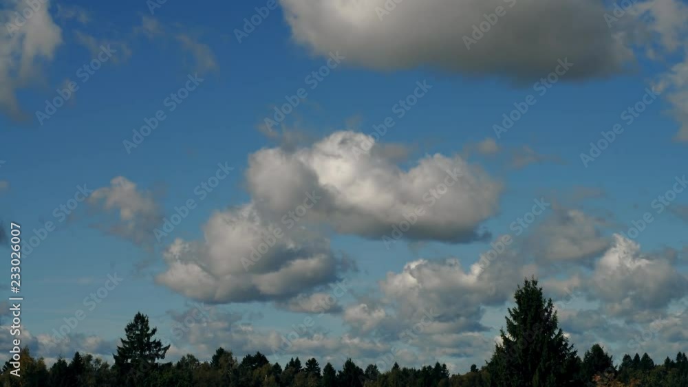 Amazing time-lapse of blue sky with white clouds over green forest. Quickened horizontal motion of heaven vapor on bright space. Abstract natural background with tranquil effect and vibrant texture. Amazing time-lapse of blue sky with white clouds over green forest. Quickened horizontal motion of heaven vapor on bright space. Abstract natural background with tranquil effect and vibrant texture.