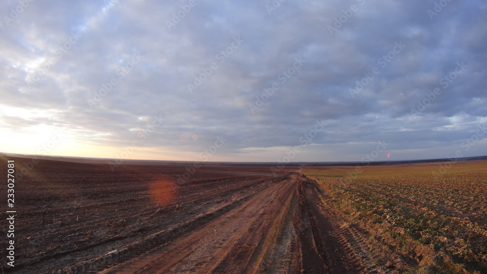 Wide and endless field in the Ukrainian village