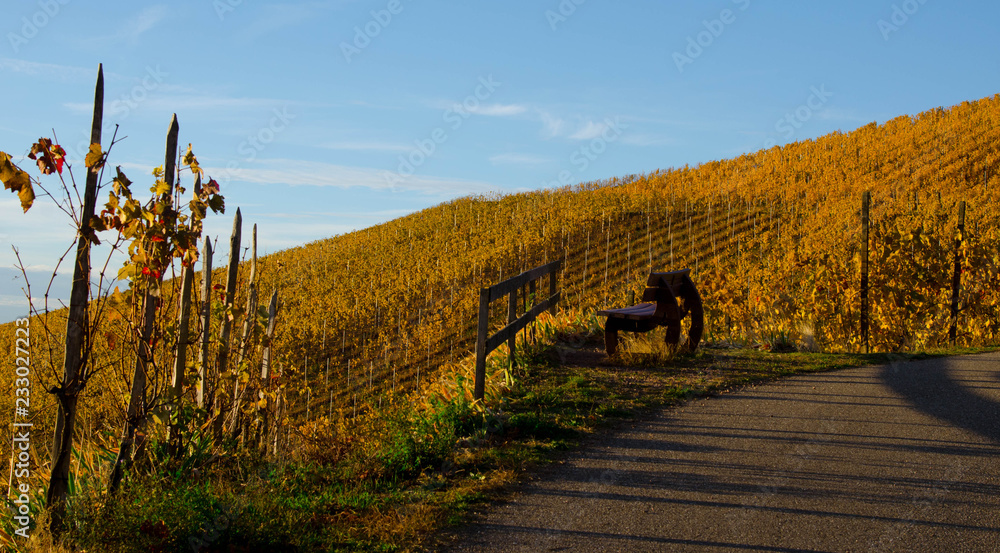 Fototapeta premium Weinberge oberhalb von Ortenberg im Kinzigtal