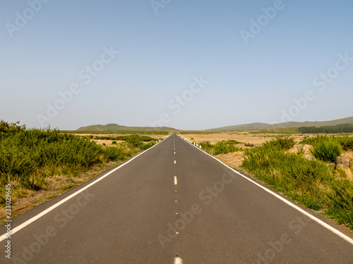 Endlos gerade Straße in Paul da Serra auf Madeira, Portugal