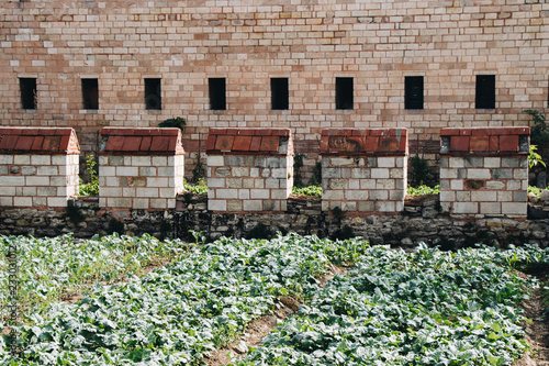 City walls of Constantinople in Istanbul, Turkey photo