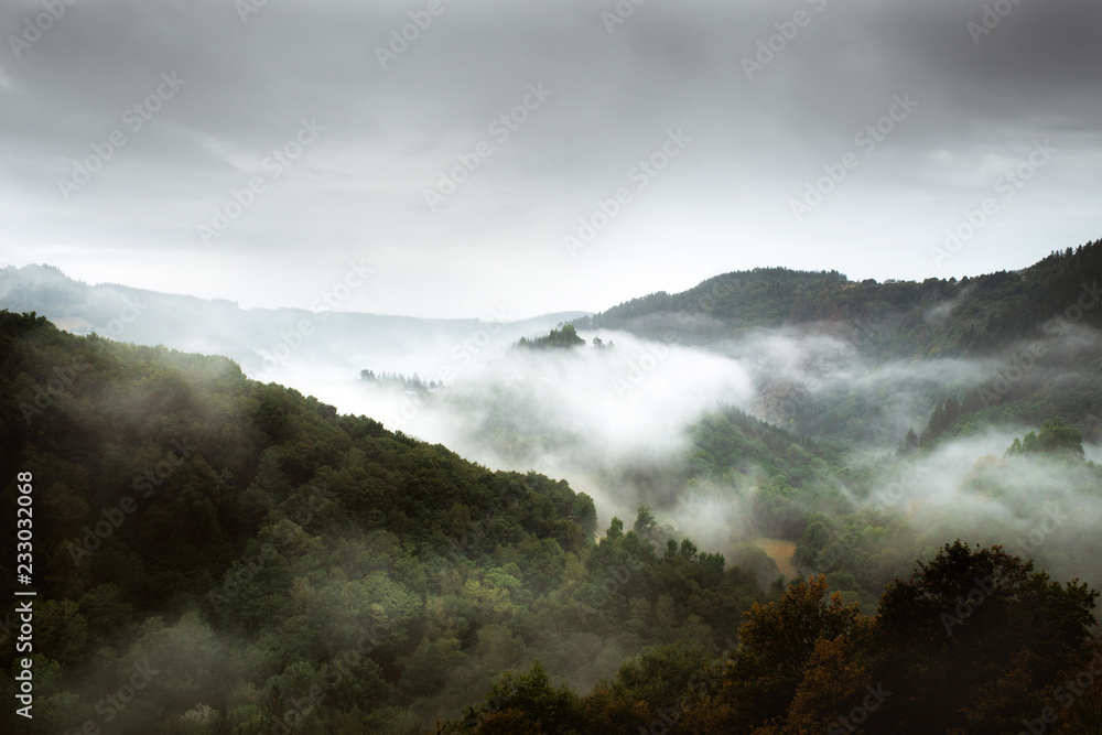 Fog in Spanish forest
