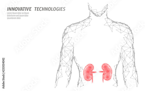 Kidneys internal organ men silhouette 3d low poly geometric model. Urology system medicine treatment. Future science technology polygonal geometric wire mesh vector illustration