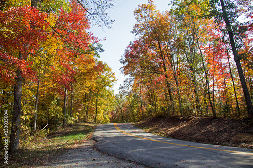 Fall in KY