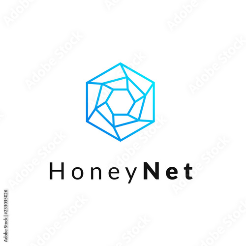 Hexagonal geometrical social network logo icon, simple lines.Honeycomb blue logotype, label, emblem, element for net web design