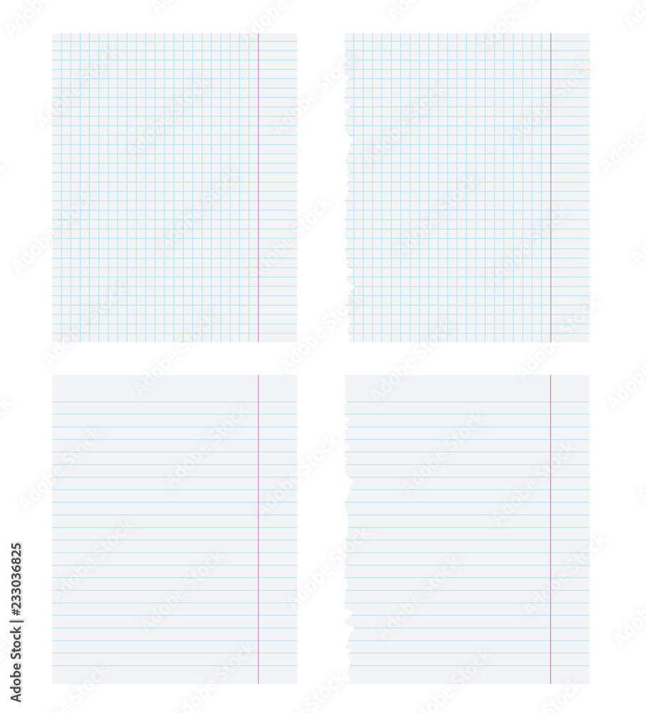 White pages of copybook, line and square. Vector objects isolated on white White pages of copybook, line and square. Vector objects isolated on white