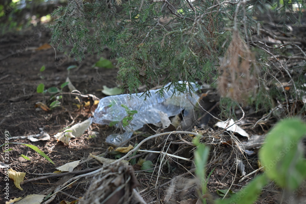 Obraz premium Trash caught in tree