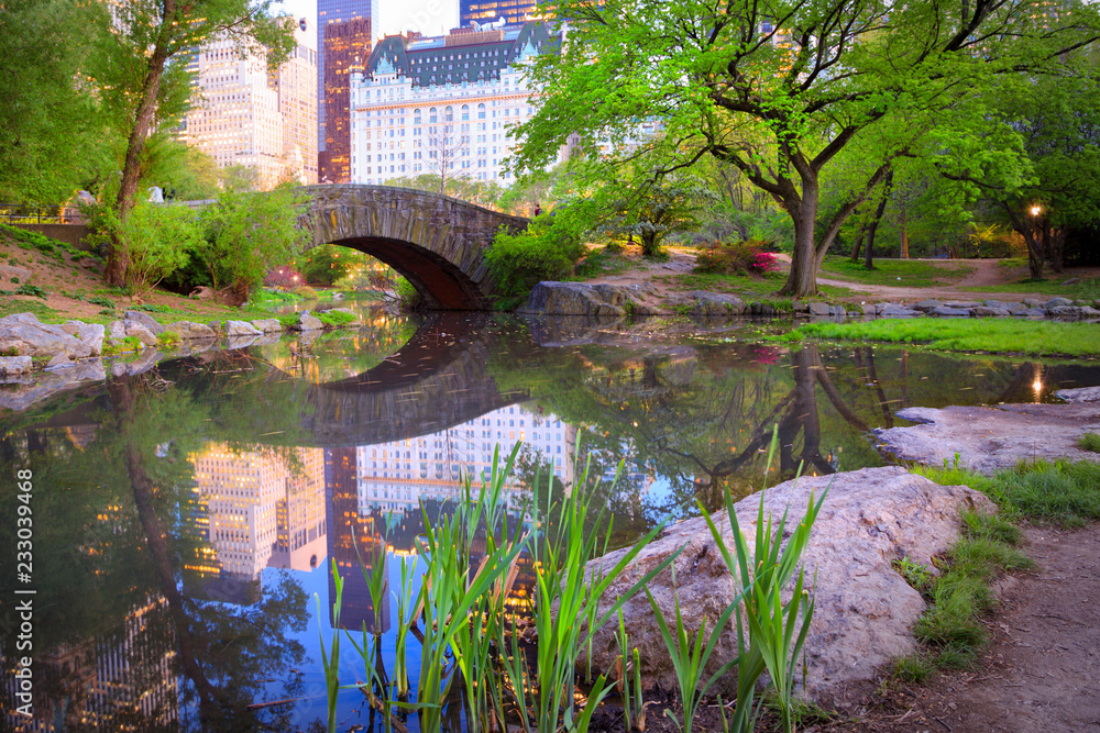 Bridge in Central Park, NYC