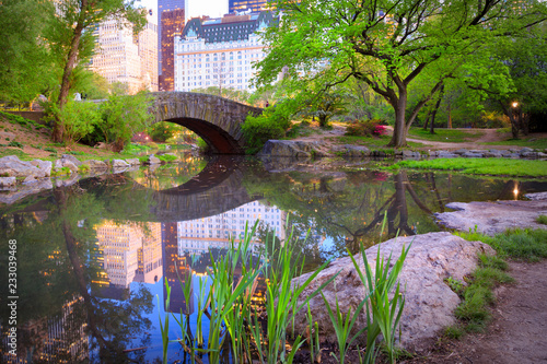 Obraz na płótnie Bridge in Central Park, NYC w salonie