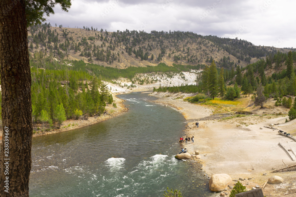 River in the Valley.Nature scenery of beautiful Yellowstone national park in Wyoming