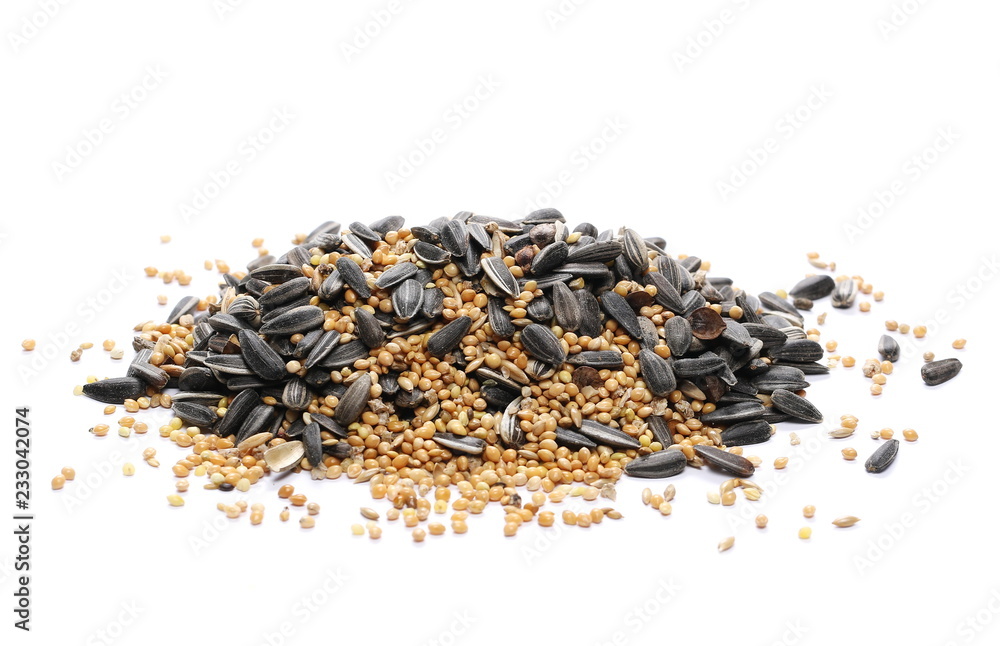 Mixed seeds, sunflower, millet, hemp, oats pile and minerals for exotic birds, parrots. Isolated on white background Mixed seeds, sunflower, millet, hemp, oats pile and minerals for exotic birds, parrots. Isolated on white background